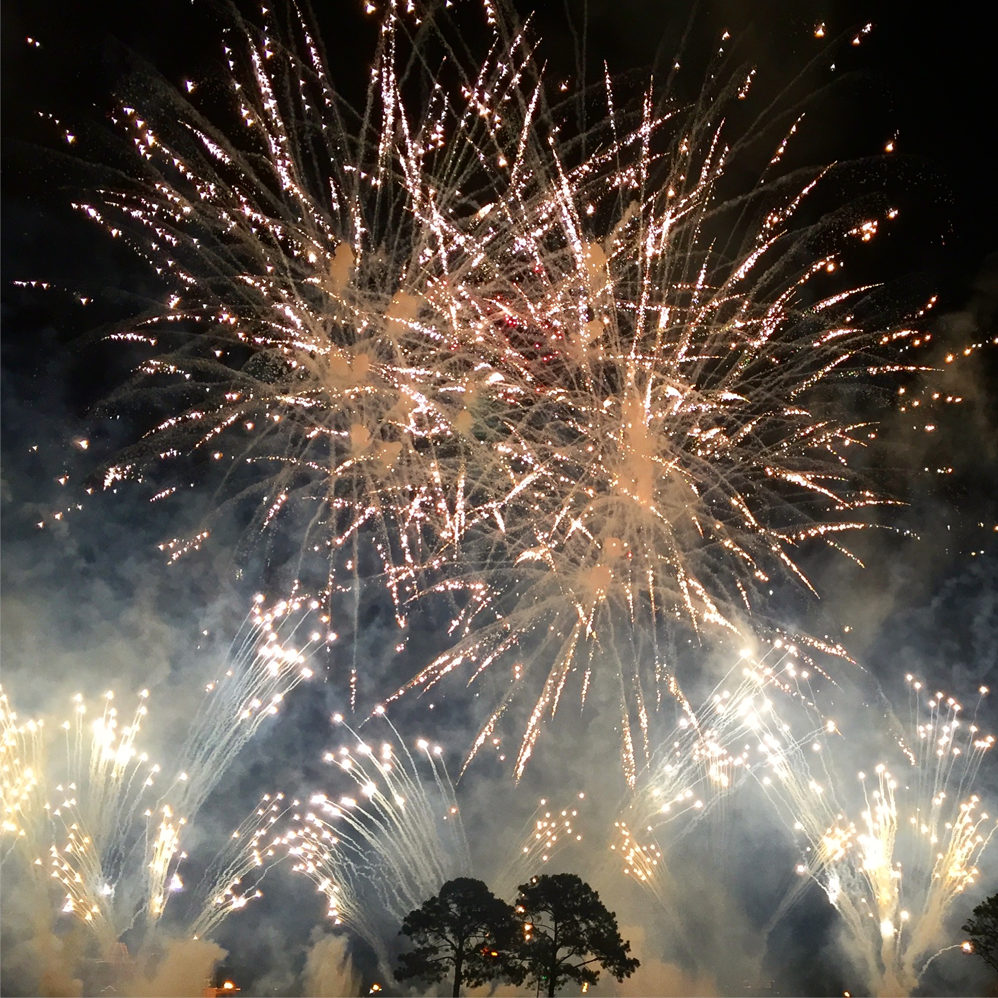 From One Of My Best Days At Walt Disney World Resort EVER! Amazing fireworks from Epcot #bestdayever #WDWresorts #waltdisneyworld #disneyparks #disneymom #mediaevent