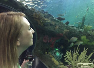 admiring the fish with wine in hand!