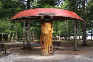 Bonnechere Book tree