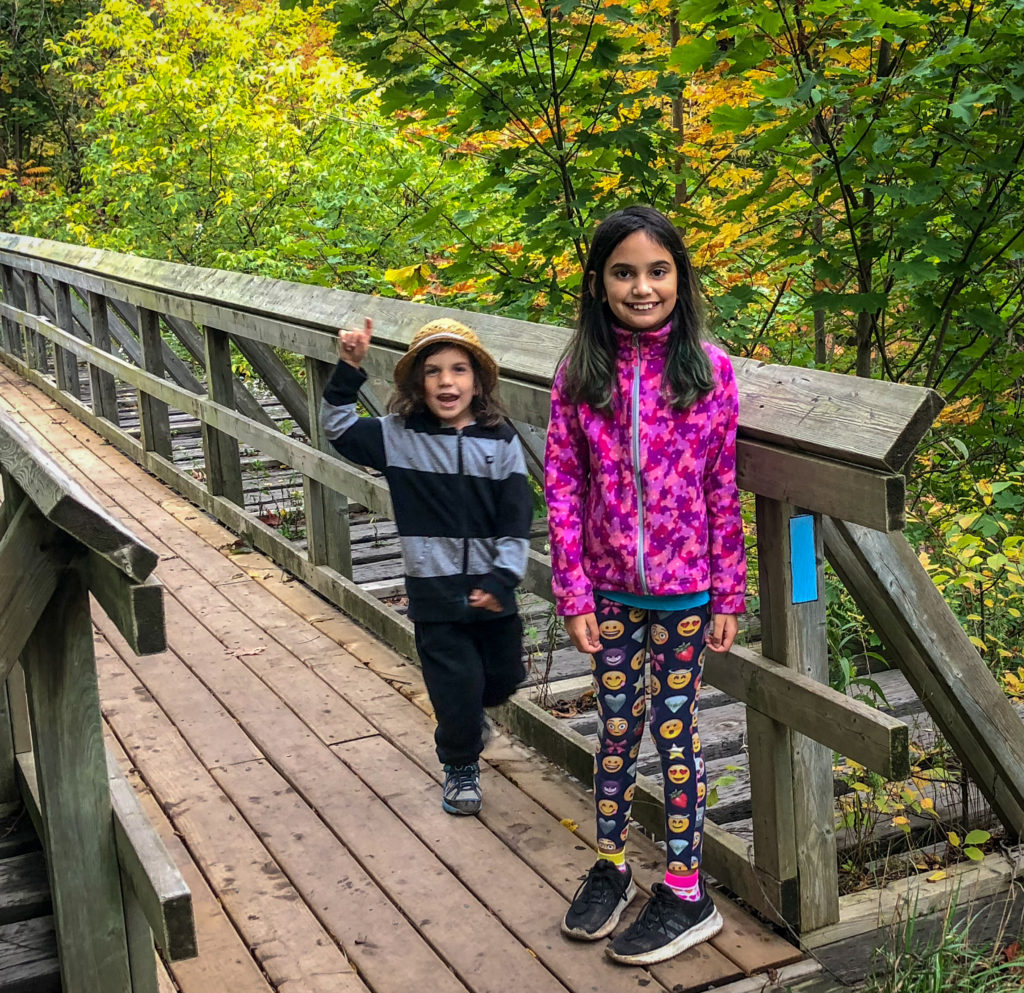 Epic Hikes With Kids - Dundas Peak and Tew's Falls Trail, Ontario #discoverON #exploremore #DUNDASPEAK #MANONT #DUNDASONTARIO #TEWSFALLS #getoutside #liveoutdoors #ontarioparks #welivetoexplore #familytravelblogger #hikingwithkids #kidswhohike #hikingmom