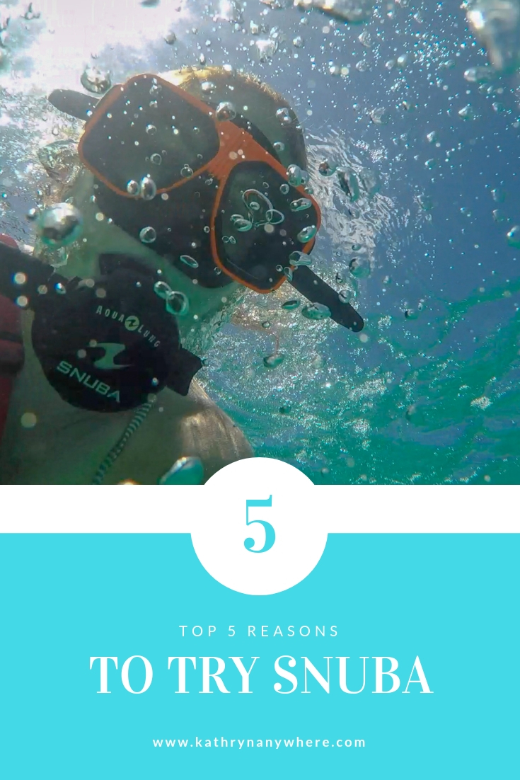 Top 5 Reasons to try SNUBA #diving #Scuba #dive #Sea #snorkeling #scubadive #SNUBA #snubalife #trysnuba #whyyoushouldtrysnuba #BeachesMoms #top5reasons #beachesturksandcaicos