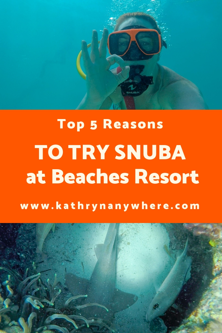 Top 5 Reasons To Try Snuba - Kathryn Anywhere