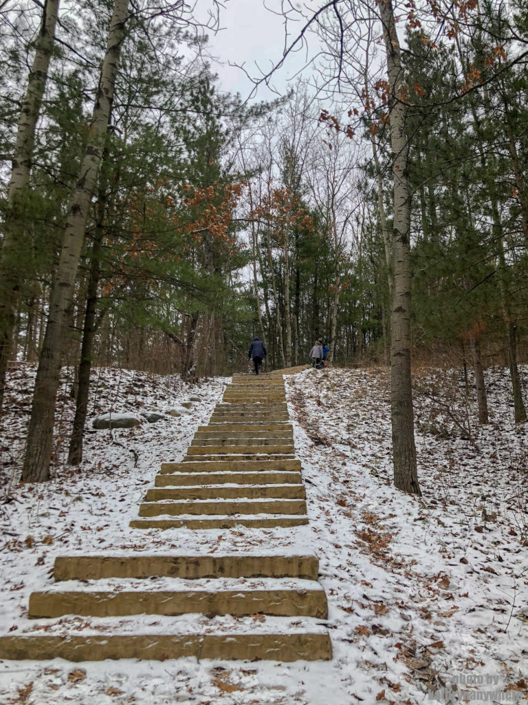 Sager Conservation Area Trail: Easy Winter Hike With Kids