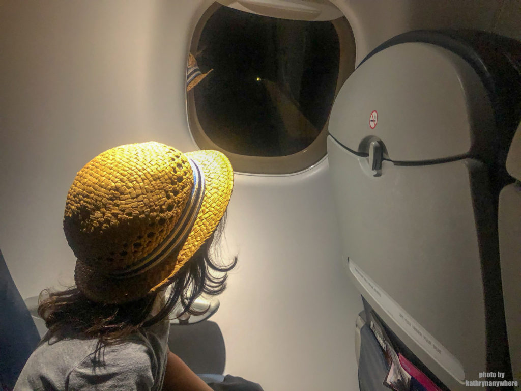 Flying With Kids? What you need to know! #flyingwithkids #airplanerides #travelwithkids #kidstravel #willisitwithmykids #seatedwithkids #flyingfromcanada #flightdelay