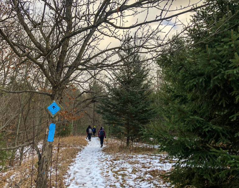 Silver Creek Conservation Area – First Hike of 2019