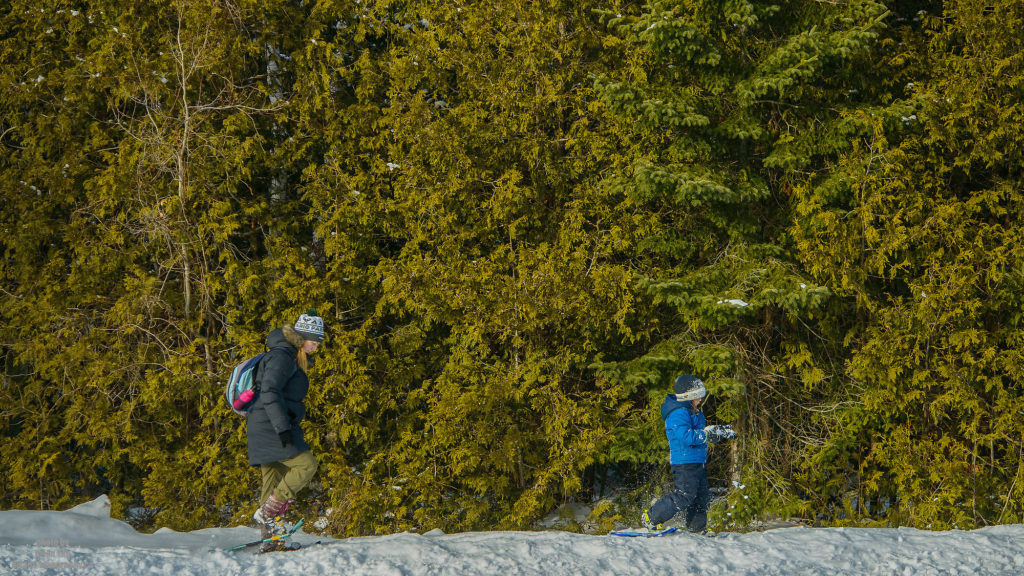 PHOTO BY BRIAN TAO, LUXOGRAPHY 2019 20 Photos That Will Inspire You To Snowshoe at MacGregor Point Provincial Park #FindYourSelfHere #OntarioParks #YoursToDiscover #DiscoverOntario #DiscoverON #Snowshoe #MacGregorPoint #ProvincialPark #MacGregorProvincialPark