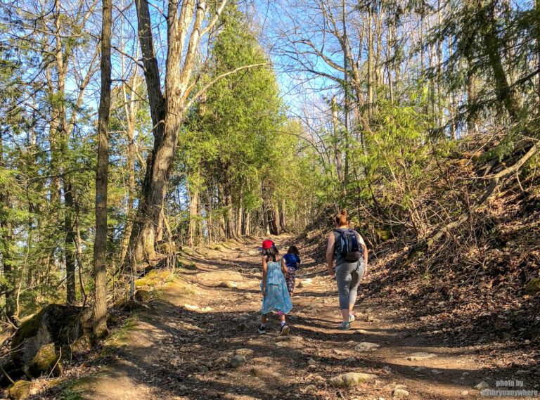 Best Hiking Trails For Families in Southern Ontario
