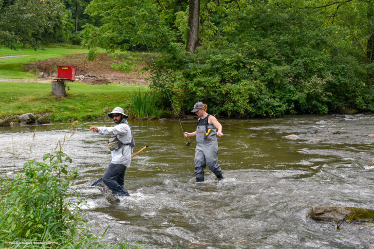 Pheromones and Fly Fishing in Spruce Creek Pennsylvania