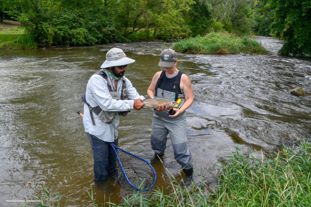 The trout I caught. Spruce Creek, PA Fly Fishing. Photo by Ed Stoddard / Visit Penn State / State College / Communications Director Central PA Convention & Visitors Bureau www.visitpennstate.org