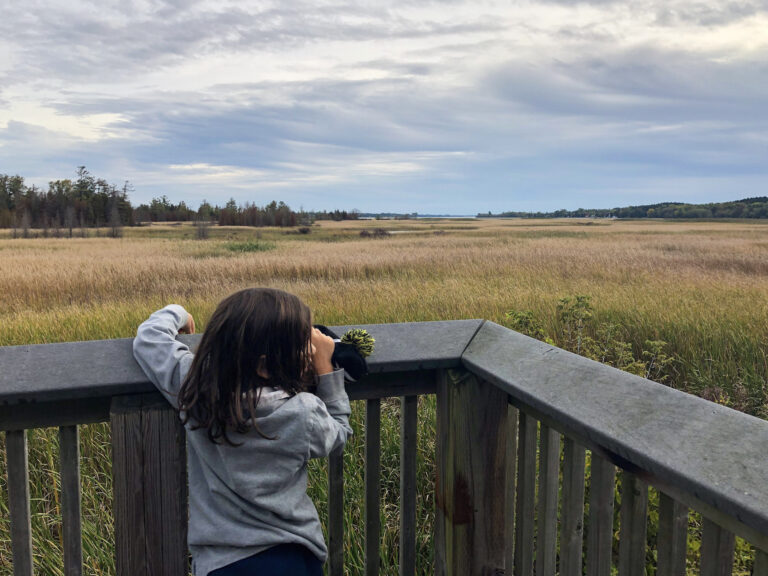 Presquile Provincial Park, Falling For the Minka Tent - Kathryn Anywhere