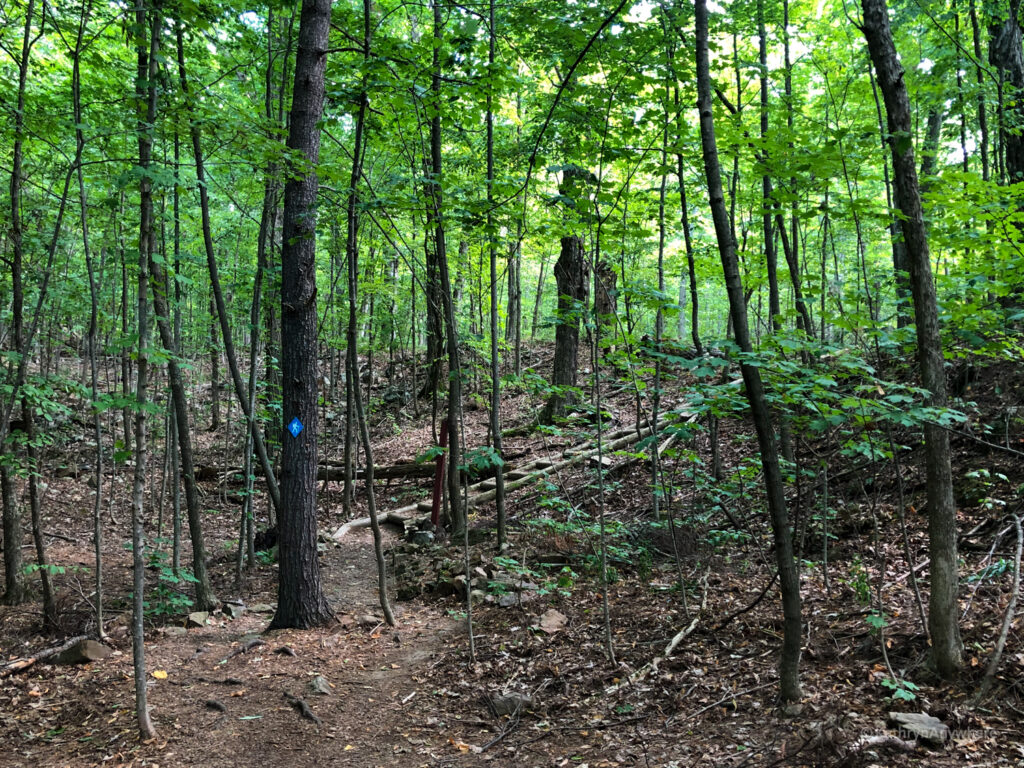 Hiking trails in Landon Bay, 1000 islands