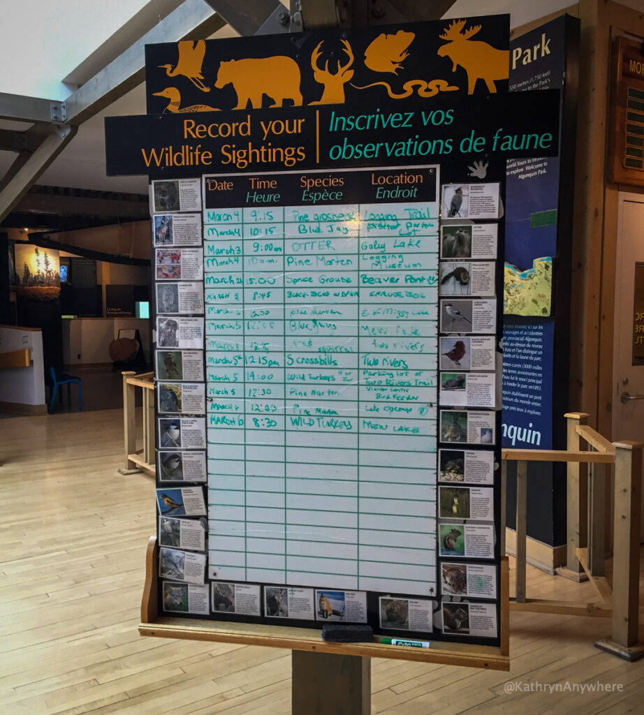 Algonquin Provincial Park visitor centre wildlife sightings board in foyer