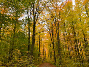 Hiking etiquette when enjoying autumn colours