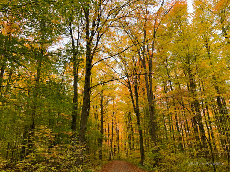Hiking Etiquette – Guide To The Trails