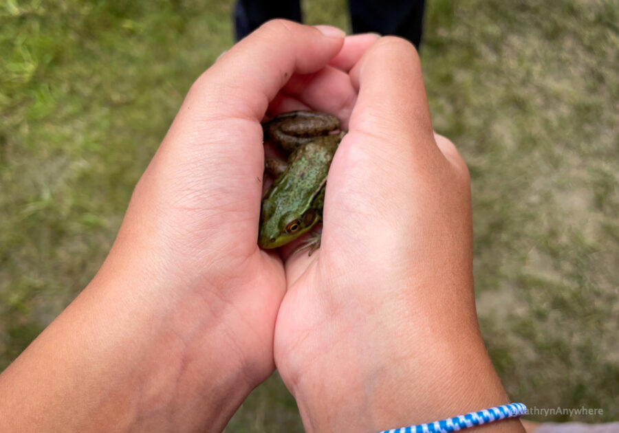 Six Mile Lake Discovery Program frog catching