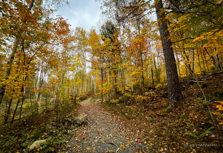 Sudbury Kivi Park Hiking Trail in autumn