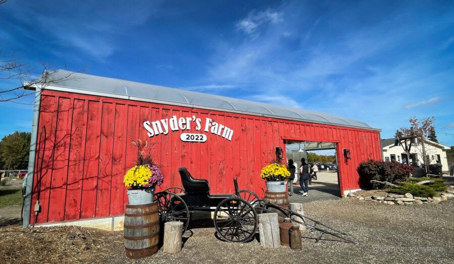 Synder's Family Farm in Waterloo Region