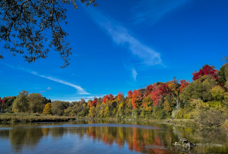 Waterloo Chapter Fall Freeze Up 2023 - Landscape Ontario