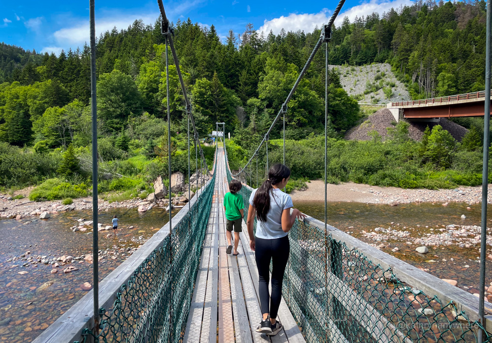 2 children walking away from camera on the Fundy Trail Parkway suspension bridge in New Brunswick